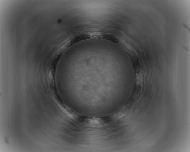 X0000097770618200803141746