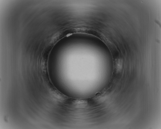 X0000097770619200803141746