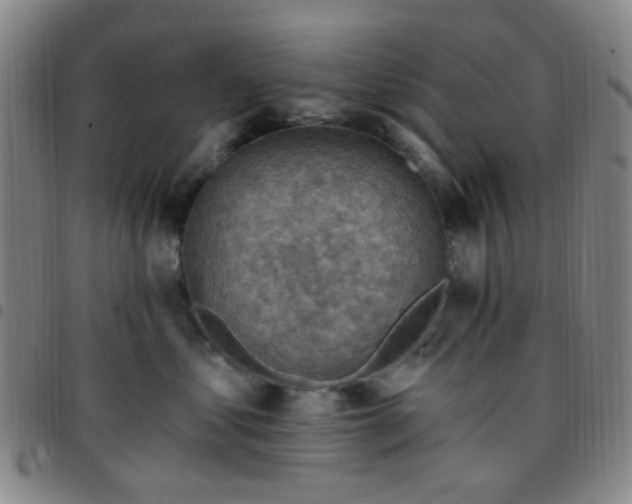 X0000097770621200803141746