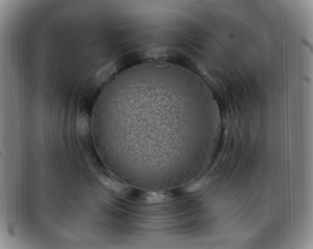 X0000097770623200803141746