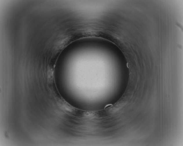 X0000097770624200803141746