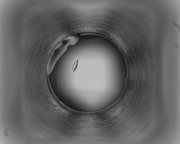 X0000097770625200803141746