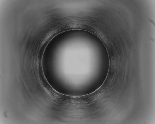 X0000097770626200803141746