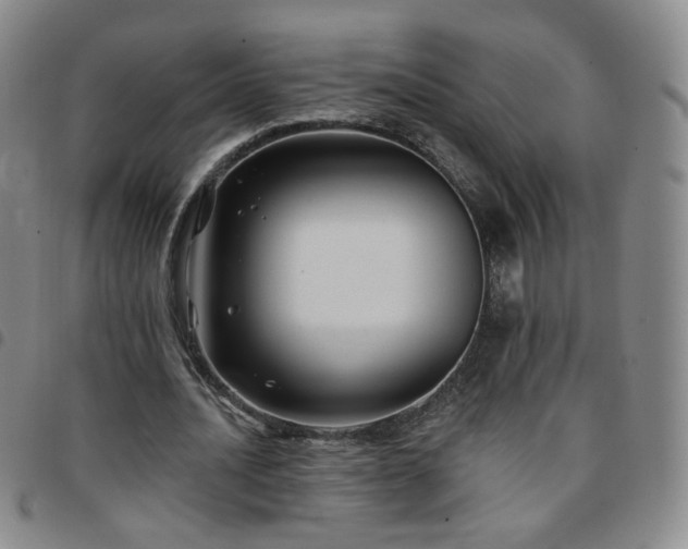 X0000097770628200803141746