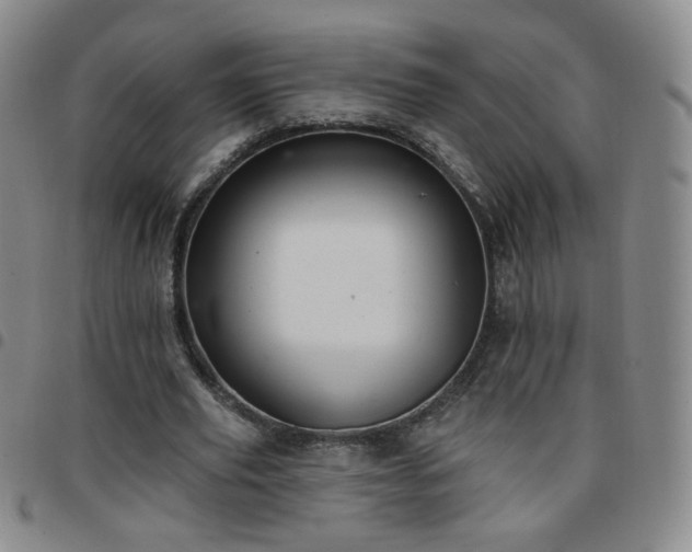 X0000097770629200803141746
