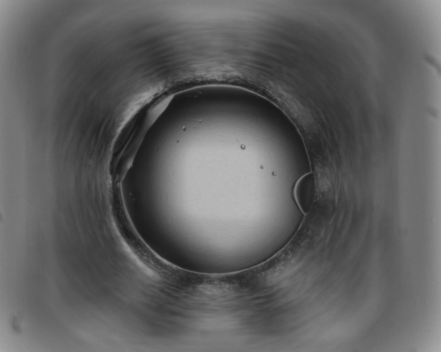 X0000097770630200803141746