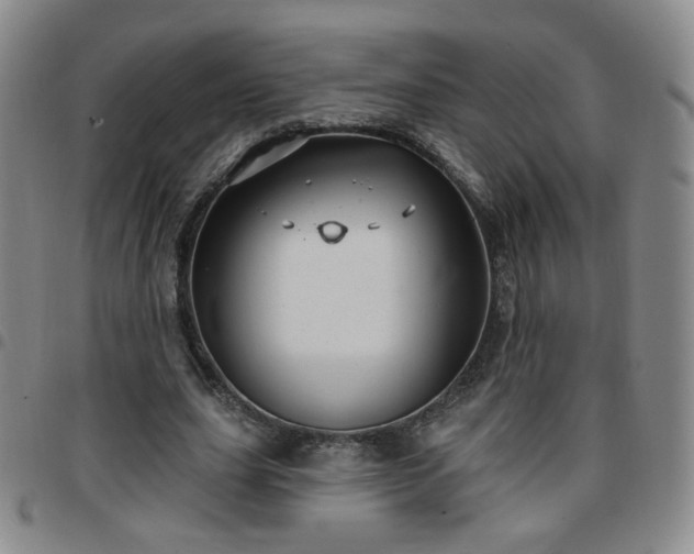 X0000097770631200803141746