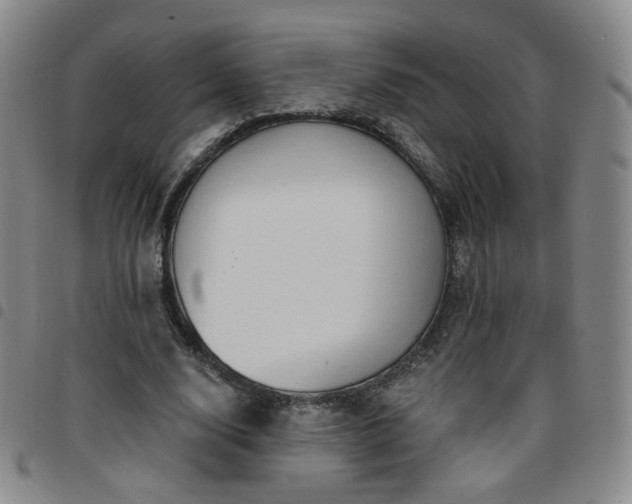 X0000097770632200803141746