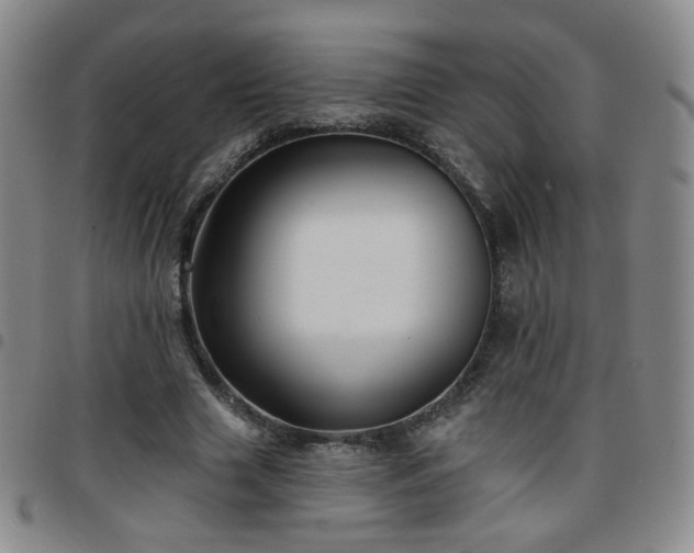 X0000097770633200803141746