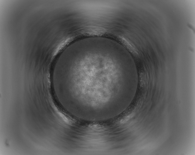 X0000097770634200803141746