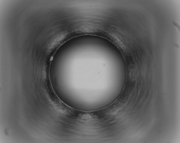 X0000097770635200803141746