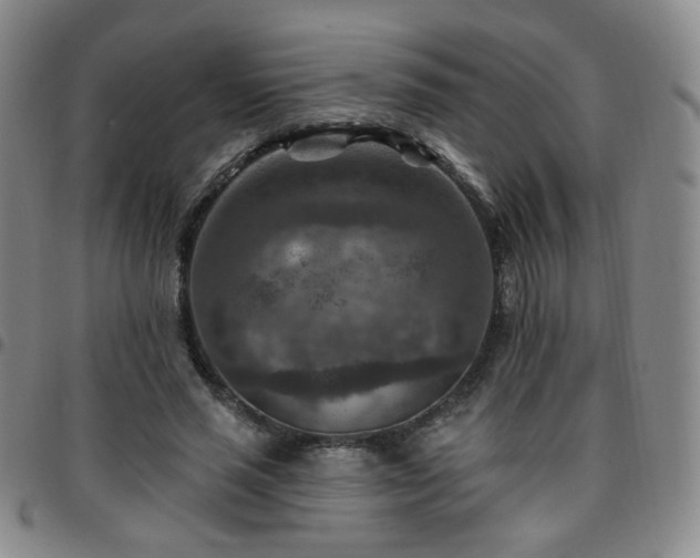 X0000097770637200803141746