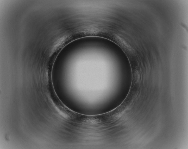 X0000097770638200803141746