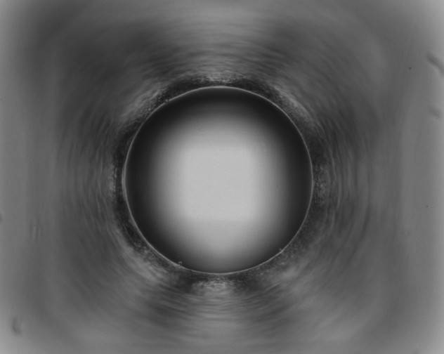 X0000097770639200803141746