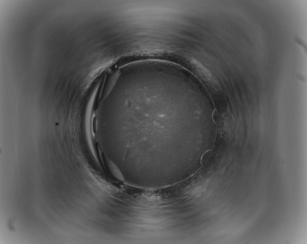X0000097770640200803141746