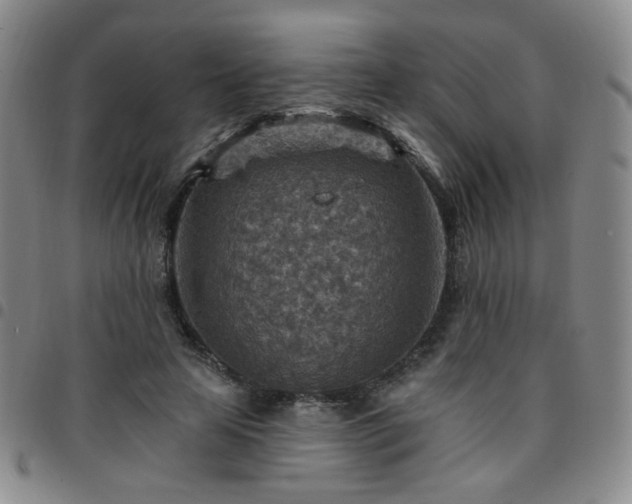 X0000097770641200803141746