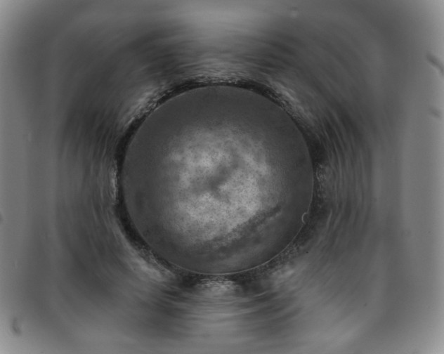 X0000097770642200803141746