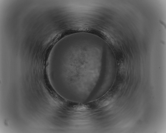 X0000097770643200803141746