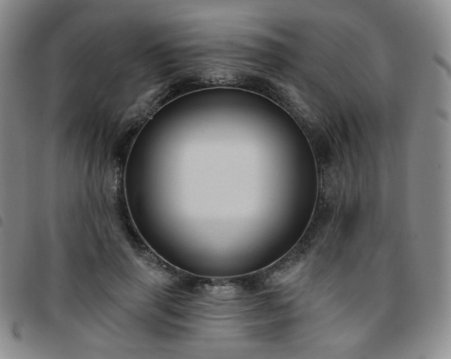 X0000097770645200803141746