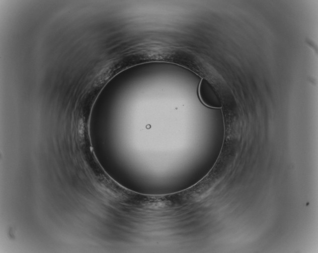X0000097770646200803141746