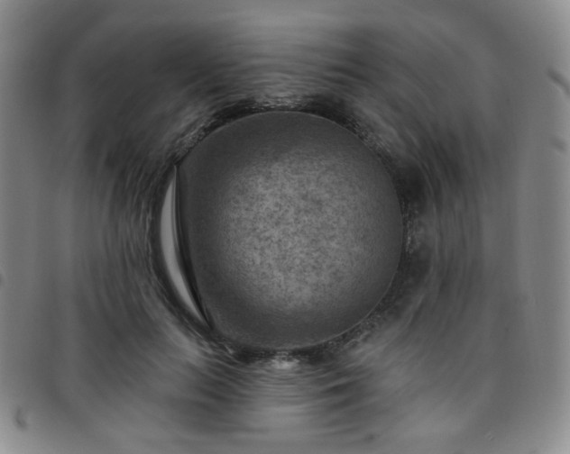 X0000097770647200803141746