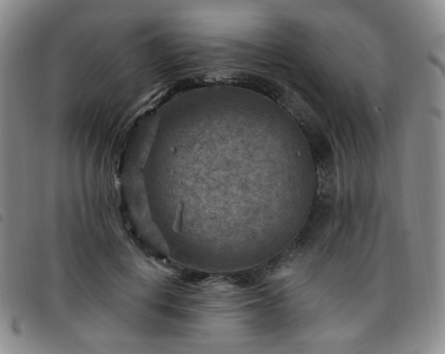 X0000097770648200803141746