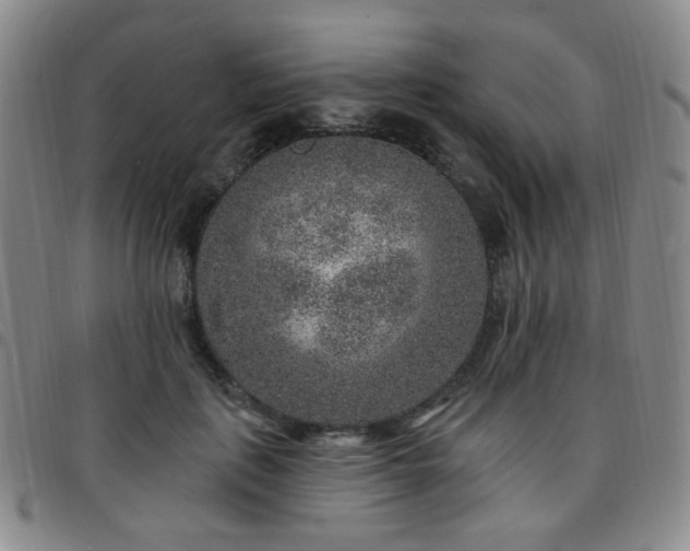 X0000097770651200803141746