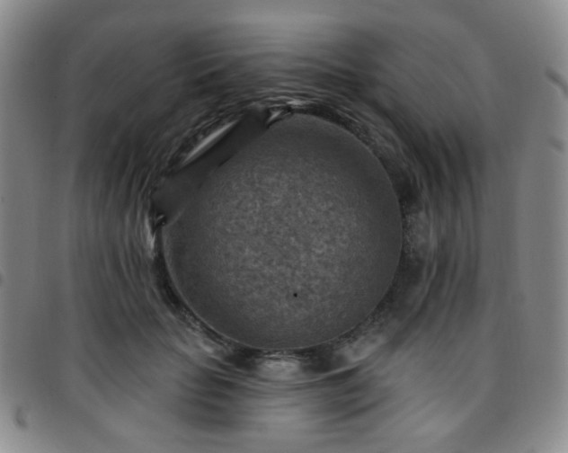 X0000097770653200803141746
