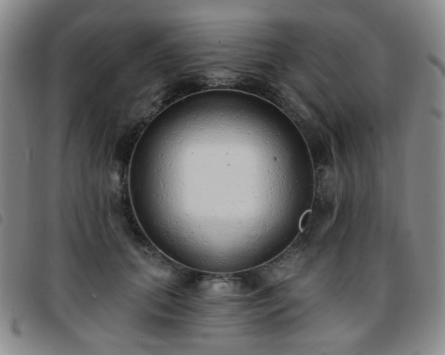 X0000097770655200803141746
