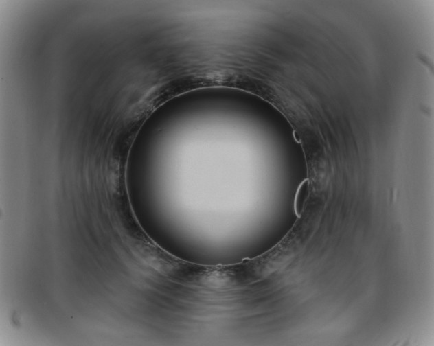 X0000097770656200803141746