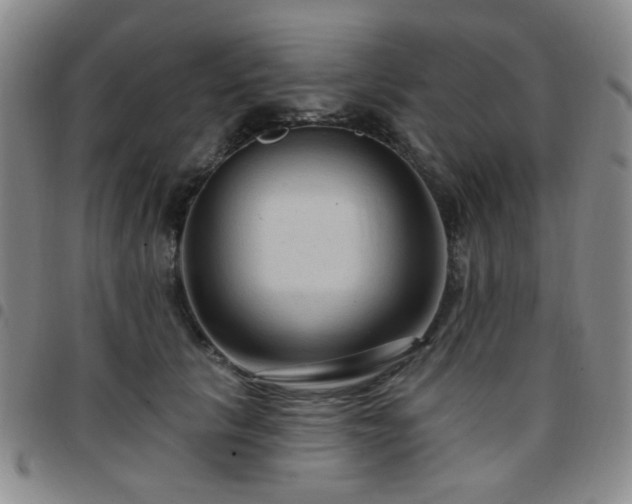 X0000097770657200803141746