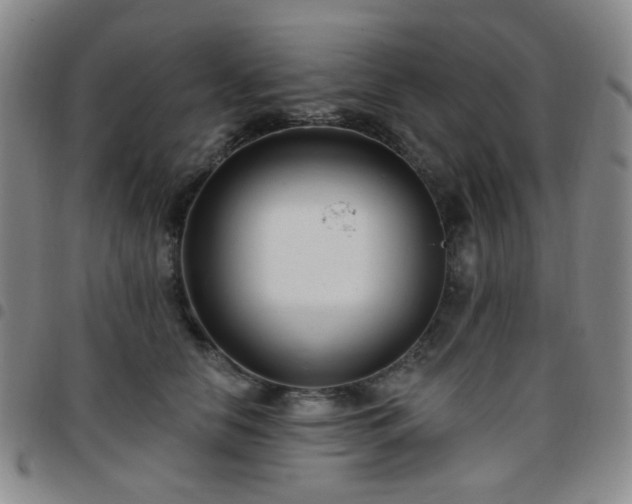 X0000097770658200803141746