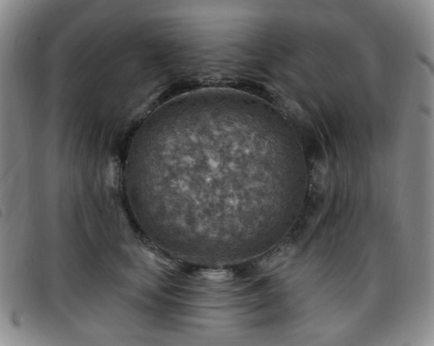 X0000097770659200803141746