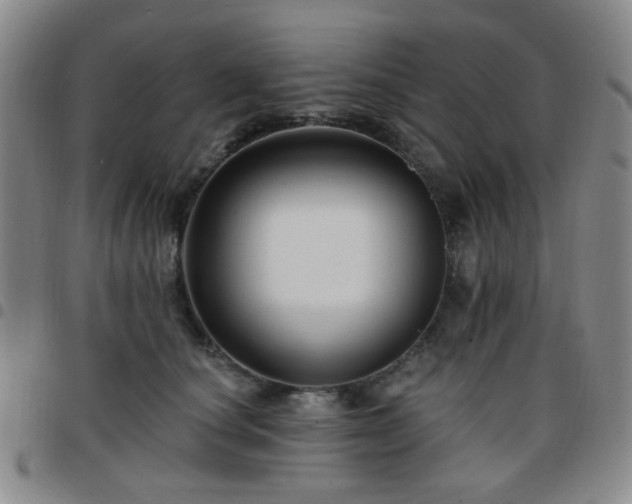 X0000097770660200803141746
