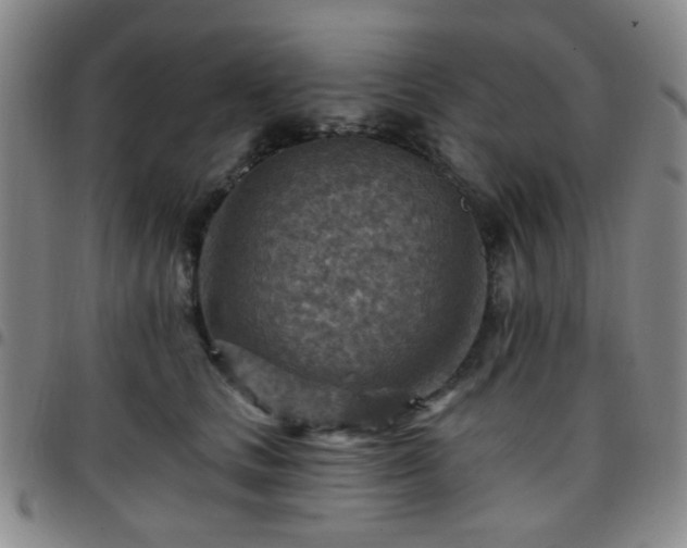 X0000097770661200803141746