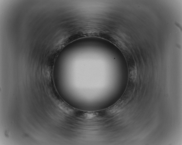 X0000097770662200803141746