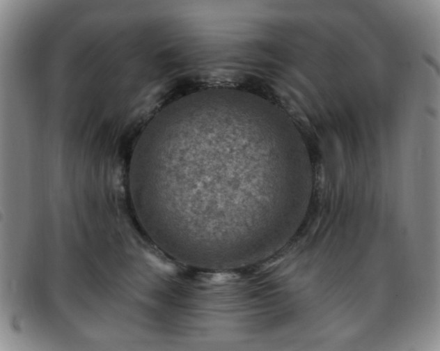 X0000097770663200803141746