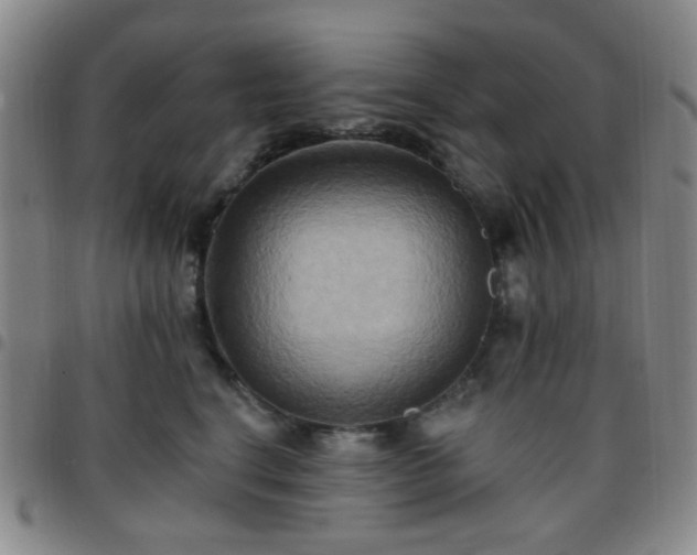 X0000097770664200803141746