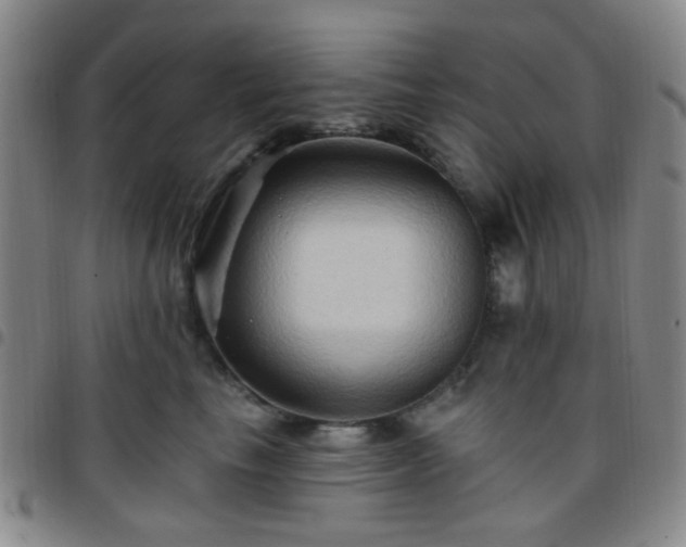 X0000097770665200803141746