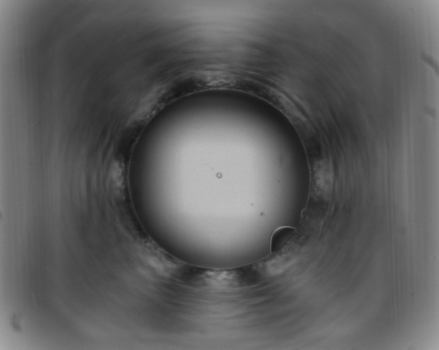 X0000097770667200803141746