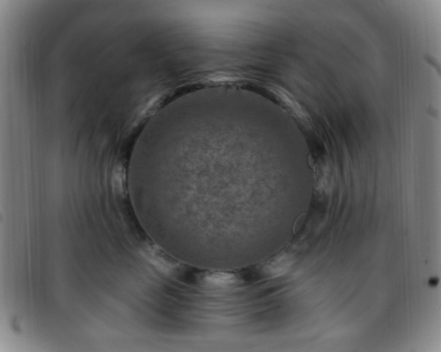 X0000097770669200803141746