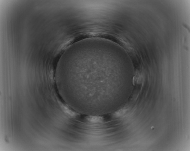 X0000097770670200803141746