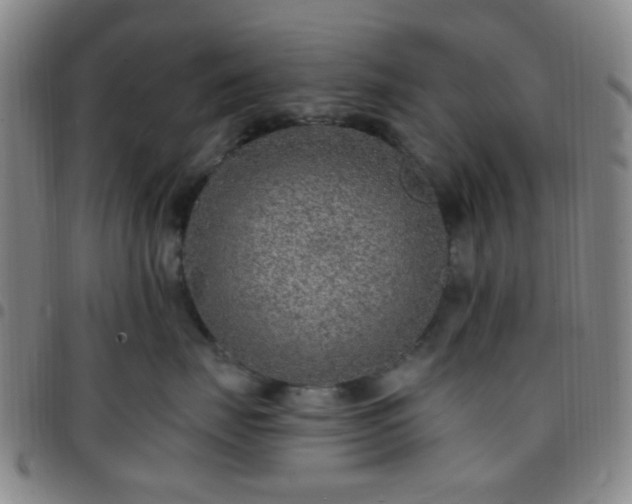 X0000097770671200803141746