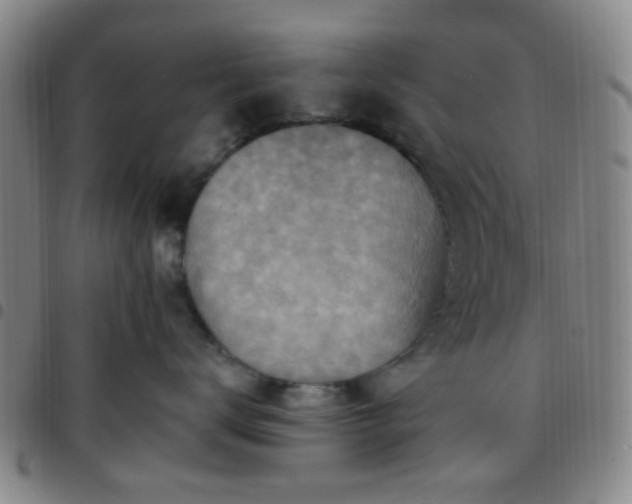 X0000097770672200803141746
