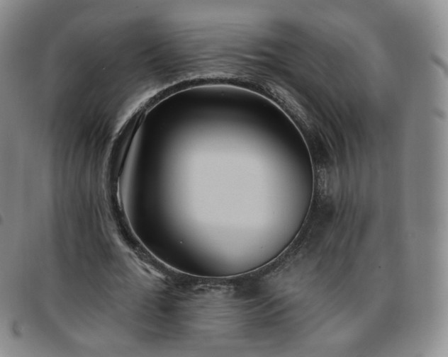 X0000097770676200803141745