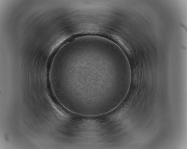 X0000097770677200803141745