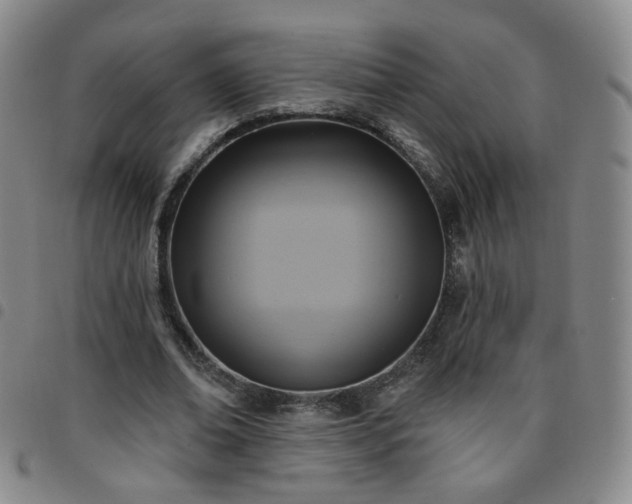 X0000097770678200803141745