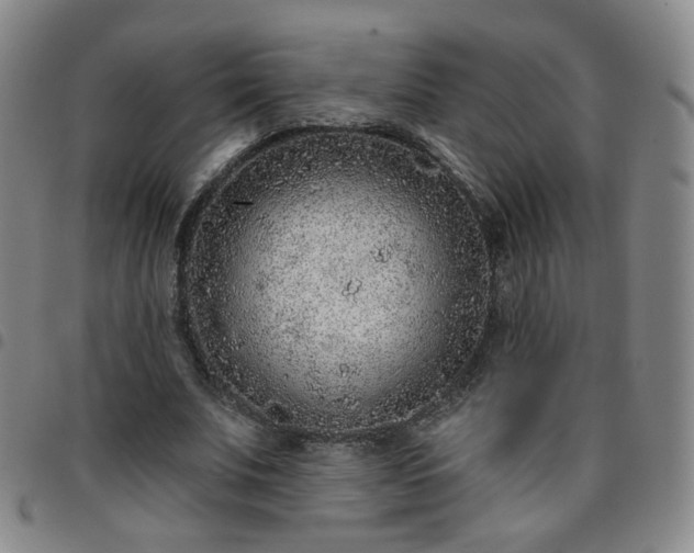 X0000097770679200803141745