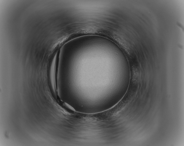 X0000097770681200803141745