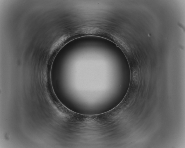 X0000097770682200803141745